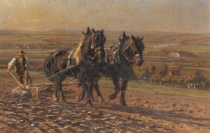 Pflugender Bauer by Friedrich Eckenfelder Oil Painting