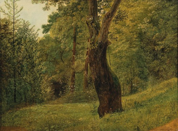 Main Product Photo of A Tree at the Edge of the Woods Painting by Friedrich Gauermann
