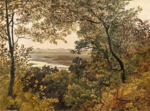 Blick auf die unregulierte Donau vom Bisamberg aus gesehen by Friedrich Gauermann Oil Painting