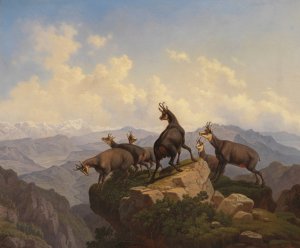 Gemsen im Karwendel by Friedrich Hohe Oil Painting