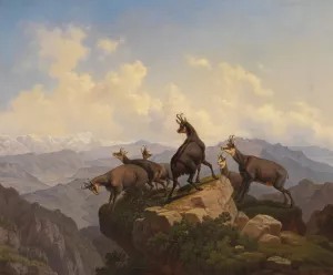 Gemsen im Karwendel by Friedrich Hohe Oil Painting
