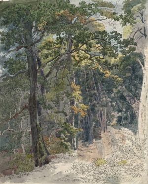 Rays of Sunlight Striking a Woodland Path by Friedrich Salathe Oil Painting