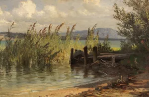 Bootssteg im Schilf by Friedrich Voltz Oil Painting