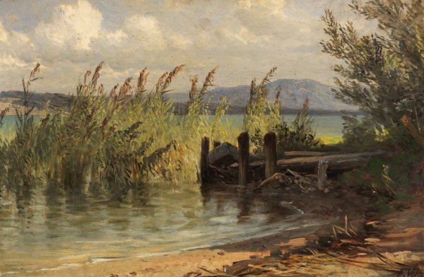 Bootssteg im Schilf  by Friedrich Voltz - Hand-Painted Oil Painting Reproduction