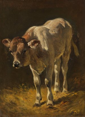 Kalb im Stall by Friedrich Voltz Oil Painting