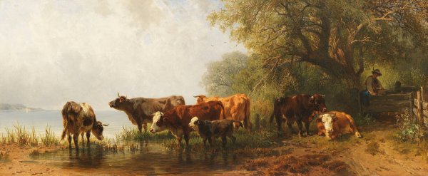 Kuhe an einem See  by Friedrich Voltz - Hand-Painted Oil Painting Reproduction