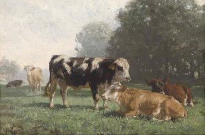 Rastende Kuhe auf der Weide by Friedrich Voltz Oil Painting