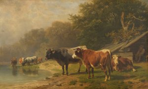 Rinder am Seeufer by Friedrich Voltz Oil Painting
