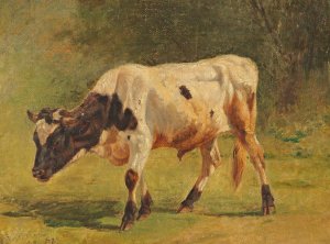 Stier by Friedrich Voltz Oil Painting