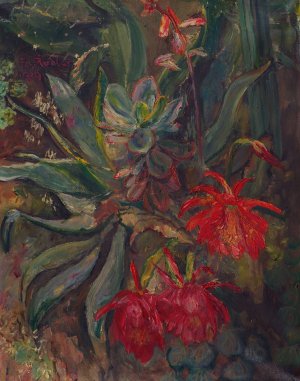 Bluhende Kakteen by Friedrich Von Radler Oil Painting