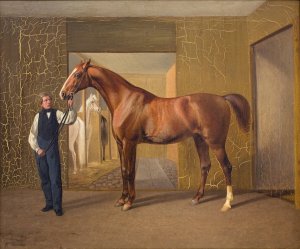 Lord Cochrane by Fritz Thomsen Oil Painting