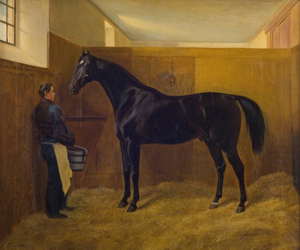 Zampa  by Fritz Thomsen - Hand-Painted Oil Painting Reproduction