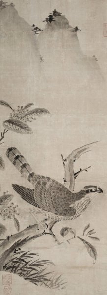Hawk by Fujiwara Masayoshi Oil Painting