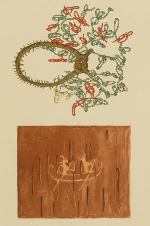 Peruvian Quipu and Birch Bark Drawing by Garrick Mallery Oil Painting