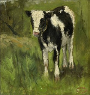 Calf, spotted black and white by Geo Poggenbeek Oil Painting