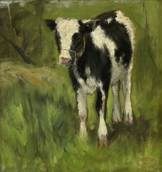 Calf, spotted black and white  by Geo Poggenbeek - Hand-Painted Oil Painting Reproduction