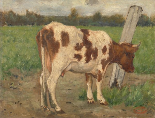 Cow  by Geo Poggenbeek - Hand-Painted Oil Painting Reproduction