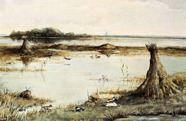 Ducks In A Landscape Near Kortenhoef