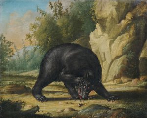 Ein Bar wird von Bienen attackiert by Georg Ernst Sandner Oil Painting