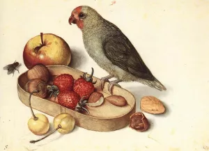 Still-Life with Pygmy Parrot painting by Georg Flegel