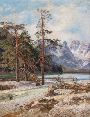 Der Durrensee mit dem Monte Cristallo, Ampezzothal by Georg Holub Oil Painting