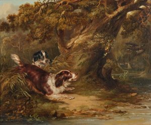 Spaniels putting up duck by George Armfield Oil Painting