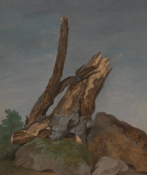 Study of Rocks and Branches by George Augustus Wallis Oil Painting