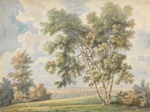 Landscape with Trees and Sheep by George Barret Oil Painting