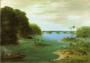 A Jaguar Hunt, Brazil Oil painting by George Catlin