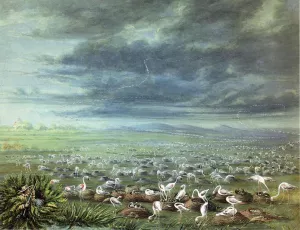 Ambush for Flamingos in South America Oil painting by George Catlin
