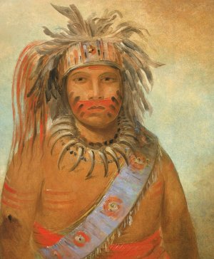 Au-nim-muck-kwa-um, Tempest Bird by George Catlin Oil Painting