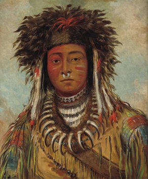 Boy Chief - Ojibbeway by George Catlin Oil Painting
