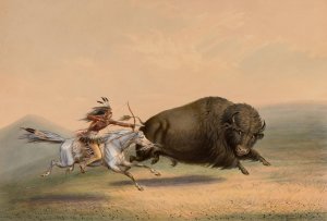 Buffalo Hunt, Chase-No. 5 by George Catlin Oil Painting