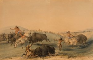 Buffalo Hunt, Chase by George Catlin Oil Painting