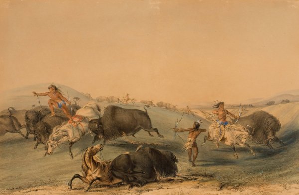 Buffalo Hunt, Chase  by George Catlin - Hand-Painted Oil Painting Reproduction