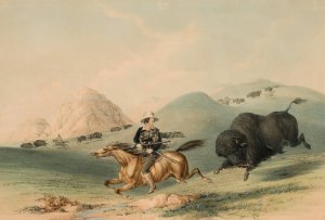 Buffalo Hunt, Chasing Back by George Catlin Oil Painting