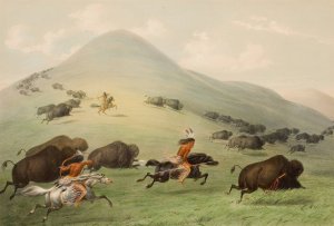 Buffalo Hunt, Horseback by George Catlin Oil Painting