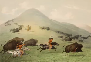 Buffalo Hunt, Horseback by George Catlin Oil Painting