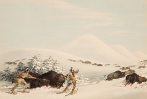 Buffalo Hunt, On Snow Shoes by George Catlin Oil Painting
