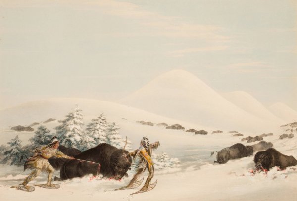 Main Product Photo of Buffalo Hunt, On Snow Shoes  Painting by George Catlin