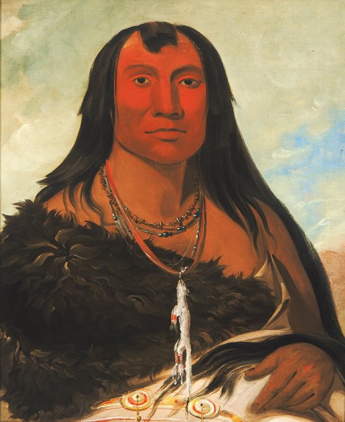 Main Product Photo of Chah-Ee-Chopes, Four Wolves, a Chief In Mourning  Painting by George Catlin