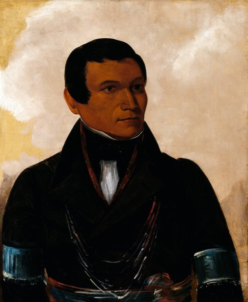Main Product Photo of Cu-Sick, Son of The Chief  Painting by George Catlin