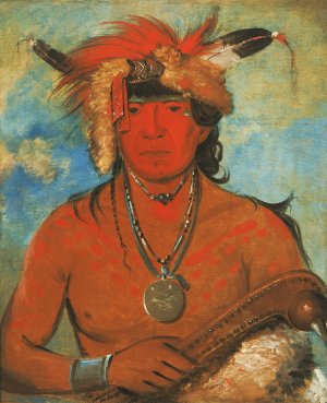 Hah-Je-Day-Ah'-Shee, Meeting Birds, a Brave by George Catlin Oil Painting