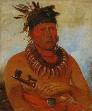 Haw-Che-Ke-Sug-Ga, He Who Kills The Osages, Chief of The Tribe by George Catlin Oil Painting