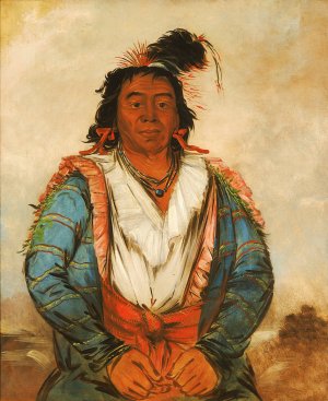 Hose-put-o-kaw-gee, a Brave by George Catlin Oil Painting