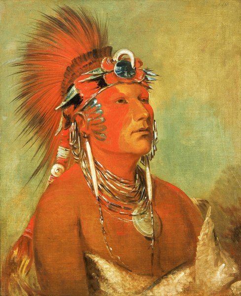 Main Product Photo of Jee-He-O-Ho-Shah, Cannot Be Thrown Down, a Warrior  Painting by George Catlin