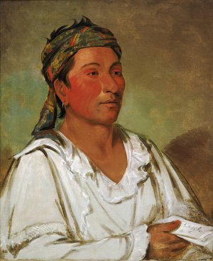 Lay-loo-ah-pee-ai-shee-kaw, Grass, Bush, and Blossom, Semicivilized by George Catlin Oil Painting