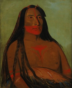 Mah-to-toh-pa, Four Bears, Second Chief in Mourning by George Catlin Oil Painting