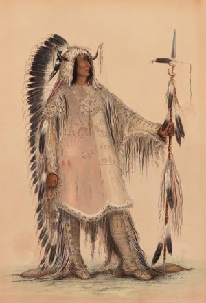 Mah-To-Toh-Pa, The Mandan Chief by George Catlin Oil Painting