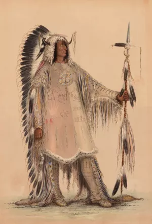 Mah-To-Toh-Pa, The Mandan Chief by George Catlin Oil Painting